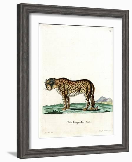 Leopard-null-Framed Giclee Print