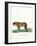 Leopard-null-Framed Giclee Print