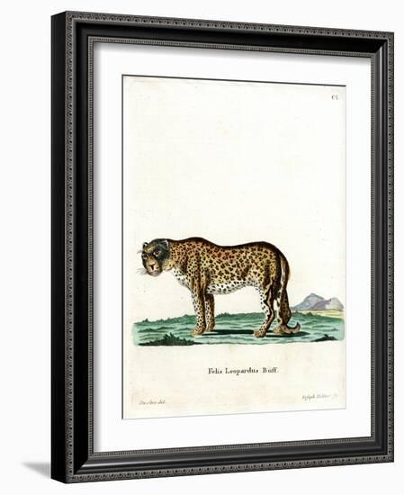 Leopard-null-Framed Giclee Print