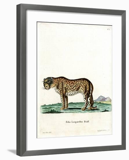 Leopard-null-Framed Giclee Print