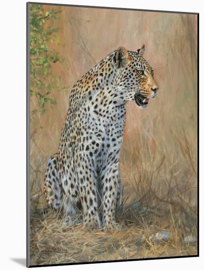 Leopard-David Stribbling-Mounted Art Print