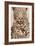 Leopard-Andrew Cooper-Framed Art Print