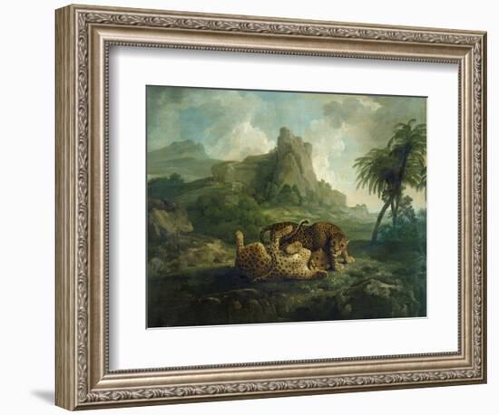 Leopards at Play, c.1763-8-George Stubbs-Framed Giclee Print