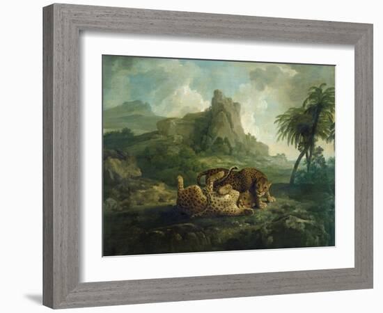 Leopards at Play, c.1763-8-George Stubbs-Framed Giclee Print