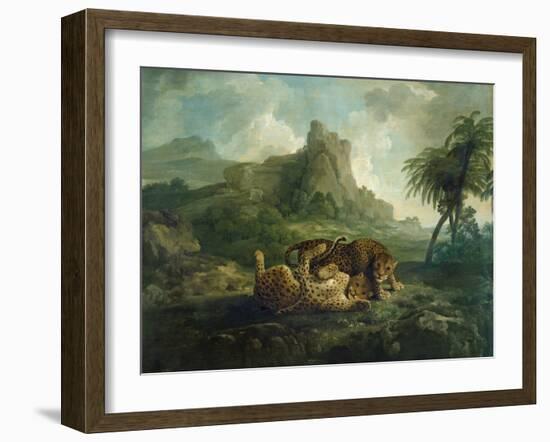 Leopards at Play, c.1763-8-George Stubbs-Framed Giclee Print