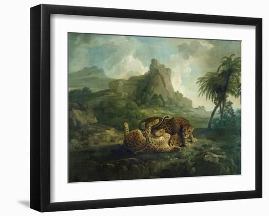 Leopards at Play, c.1763-8-George Stubbs-Framed Giclee Print