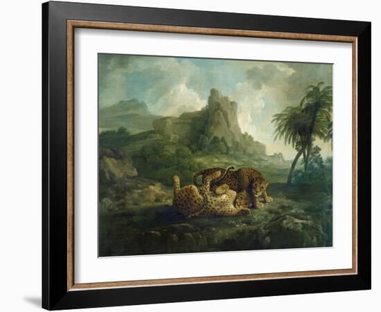 Leopards at Play, c.1763-8-George Stubbs-Framed Giclee Print