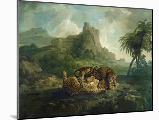 Leopards at Play, c.1763-8-George Stubbs-Mounted Giclee Print
