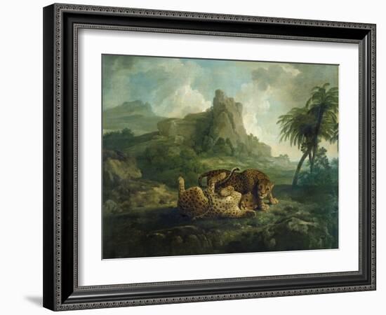 Leopards at Play, c.1763-8-George Stubbs-Framed Giclee Print