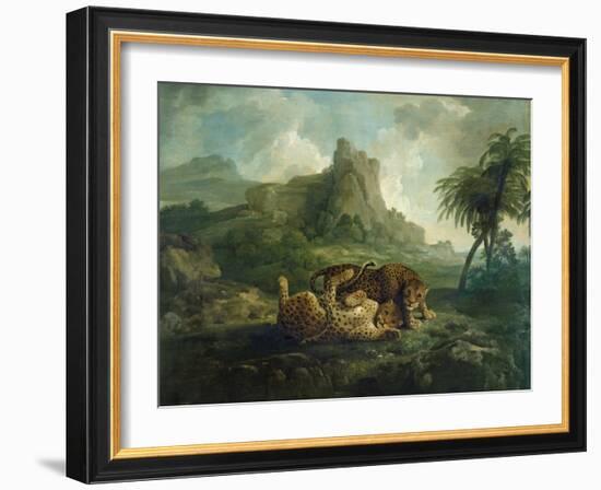 Leopards at Play, c.1763-8-George Stubbs-Framed Giclee Print