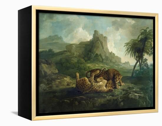 Leopards at Play, c.1763-8-George Stubbs-Framed Premier Image Canvas