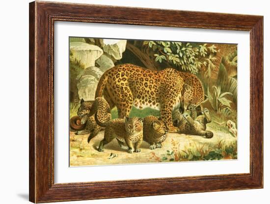 Leopards-English School-Framed Giclee Print