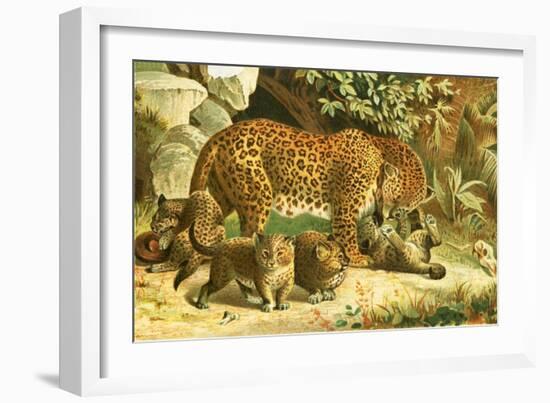 Leopards-English School-Framed Giclee Print