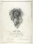 Physical Map of La Palma, 1814-Leopold de Buch-Giclee Print