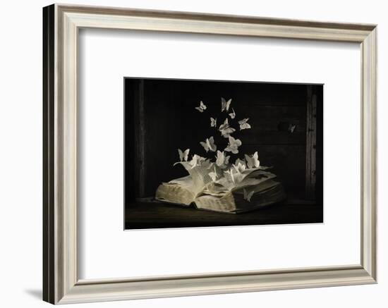 Lepidopterology-Heather Bonadio-Framed Photographic Print