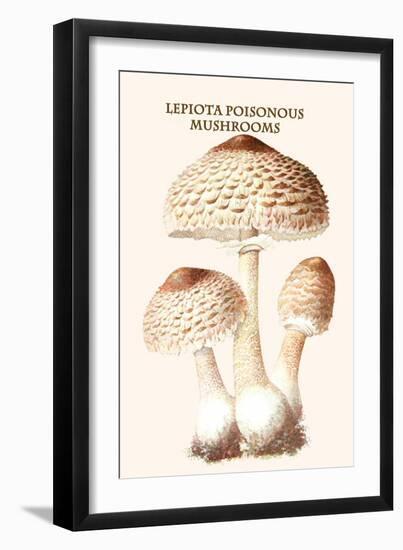 Lepiota Poisonous Mushrooms-L. Dufour-Framed Art Print