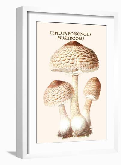 Lepiota Poisonous Mushrooms-L. Dufour-Framed Art Print