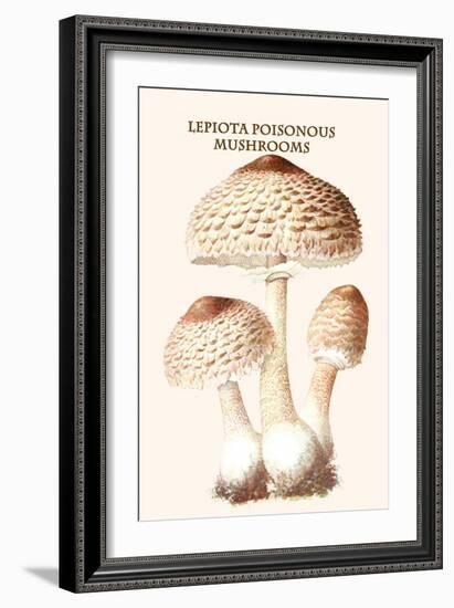 Lepiota Poisonous Mushrooms-L. Dufour-Framed Art Print