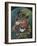 Leprechaun-Tim Nyberg-Framed Giclee Print