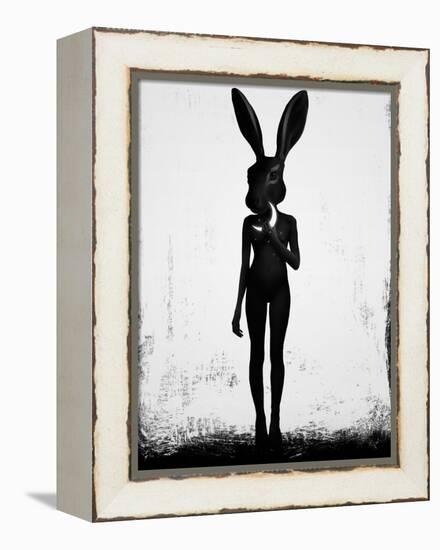 Lepus-Ruben Ireland-Framed Stretched Canvas