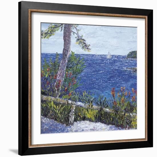 Les Aloes du Cap-Tania Forgione-Framed Giclee Print