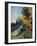 Les Alyscamps-Paul Gauguin-Framed Giclee Print