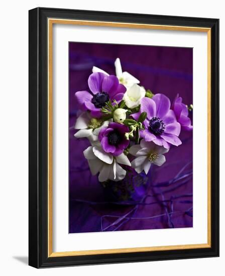 Les Anemones-Catherine Beyler-Framed Art Print