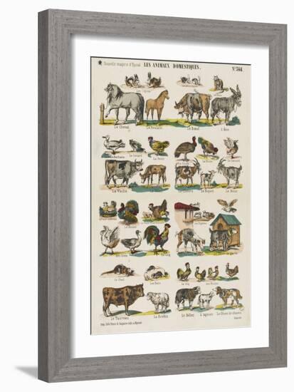 Les animaux domestiques-null-Framed Giclee Print