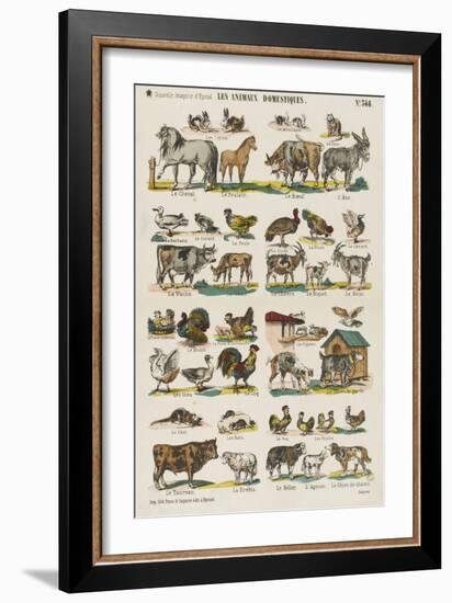 Les animaux domestiques-null-Framed Giclee Print