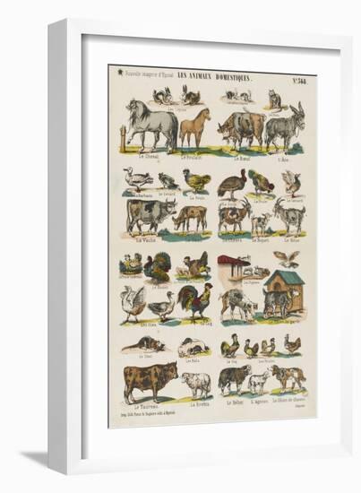 Les animaux domestiques-null-Framed Giclee Print