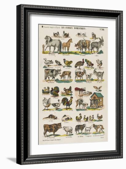 Les animaux domestiques-null-Framed Giclee Print