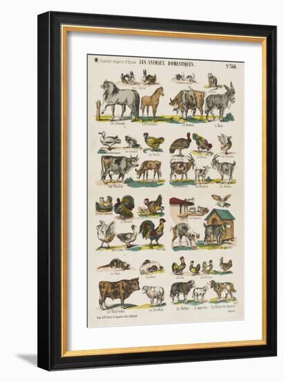 Les animaux domestiques-null-Framed Giclee Print