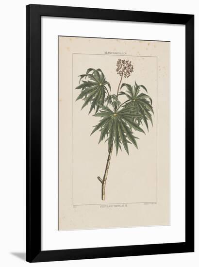 Les Botaniques IV-Georg Dionysius Ehret-Framed Giclee Print