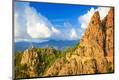 Premium Photographic Print