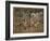 Les Chasses de Maximilien dites "Belles chasses de Guise"-Orley Barend Van-Framed Giclee Print