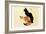 Les Chats-Th?ophile Alexandre Steinlen-Framed Art Print