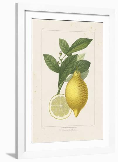 Les Citrons I-A^ Poiteau-Framed Giclee Print