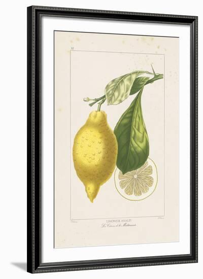 Les Citrons II-A^ Poiteau-Framed Giclee Print