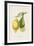 Les Citrons II-A^ Poiteau-Framed Giclee Print