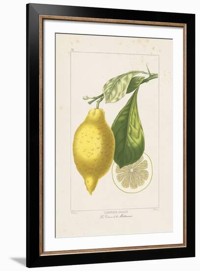 Les Citrons II-A^ Poiteau-Framed Giclee Print