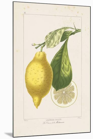 Les Citrons II-A^ Poiteau-Mounted Giclee Print