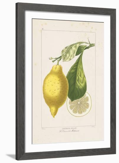 Les Citrons II-A^ Poiteau-Framed Giclee Print