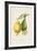 Les Citrons II-A^ Poiteau-Framed Giclee Print