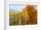 Les Collines Vineyard in Autumn, Walla Walla, Washington, USA-Richard Duval-Framed Photographic Print