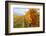 Les Collines Vineyard in Autumn, Walla Walla, Washington, USA-Richard Duval-Framed Photographic Print