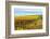 Les Collines Vineyard in Autumn, Walla Walla, Washington, USA-Richard Duval-Framed Premium Photographic Print