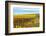 Les Collines Vineyard in Autumn, Walla Walla, Washington, USA-Richard Duval-Framed Premium Photographic Print