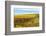 Les Collines Vineyard in Autumn, Walla Walla, Washington, USA-Richard Duval-Framed Photographic Print