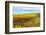 Les Collines Vineyard in Autumn, Walla Walla, Washington, USA-Richard Duval-Framed Photographic Print