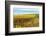 Les Collines Vineyard in Autumn, Walla Walla, Washington, USA-Richard Duval-Framed Photographic Print